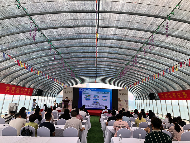 “迎端午・ 守诚信・ 护征信” | 邵阳市信用协会2026 年“6 ・ 14”信用记录关爱日主题活动